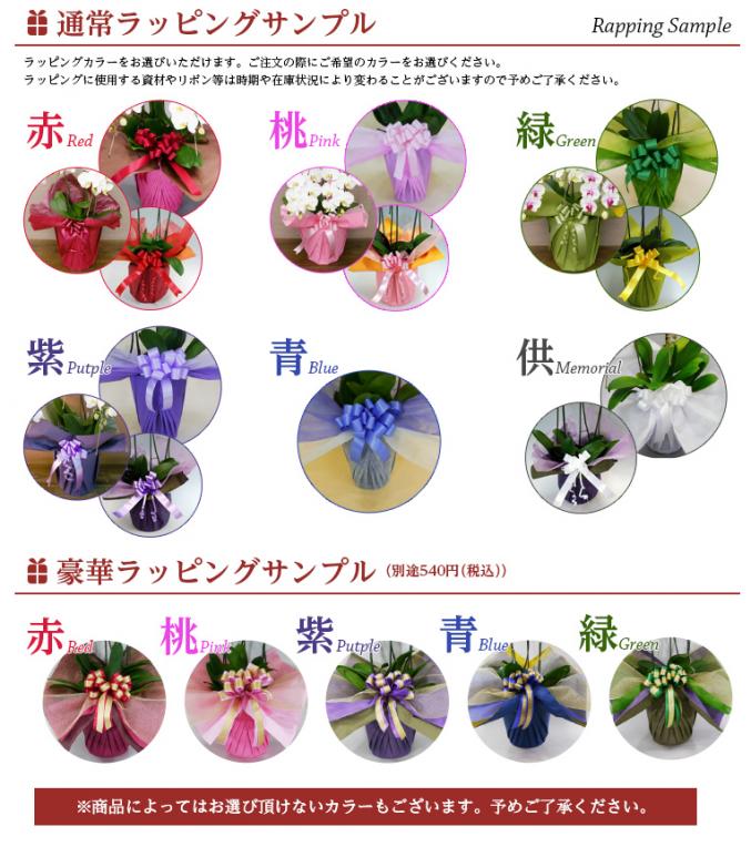 スーパーアマビリス2本立