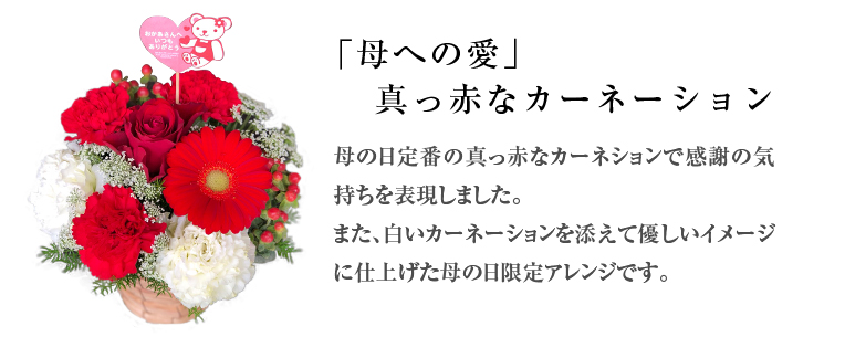 母の日オリジナルアレンジ レッド系