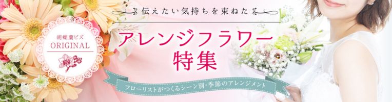 胡蝶蘭ビズ　オリジナルアレンジフラワー特集