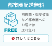 配送無料
