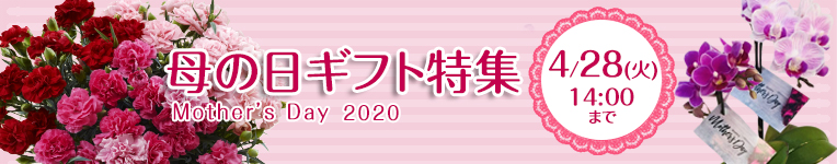 2020母の日ギフト