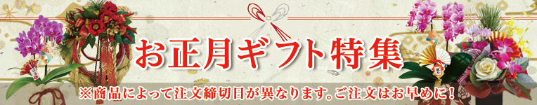 お正月ギフト