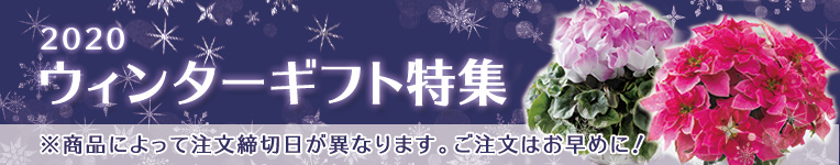 ウィンターギフト