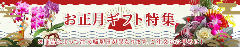 バナー