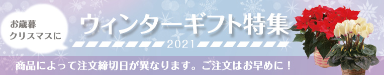 バナー